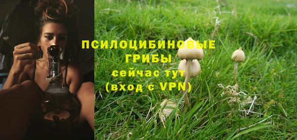 мескалин Краснотурьинск